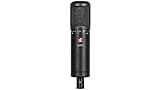 sE Electronics sE2200 Condenser Microphone